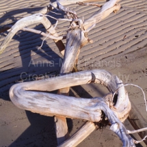 driftwood